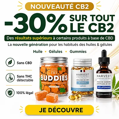 pub calendrier de l'avent CBD.fr