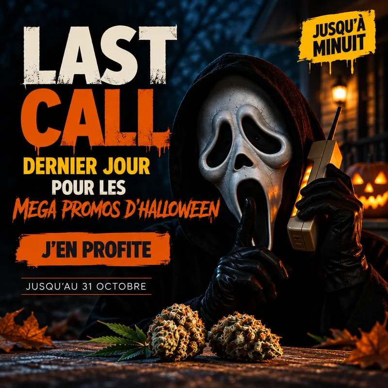 Last Call Halloween — Dernier jour pour les MEGA promos d'Halloween