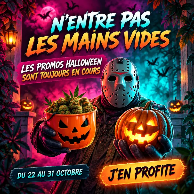 Relance promo Halloween — 1+1, 2+1 et 3+1 sur tout le site