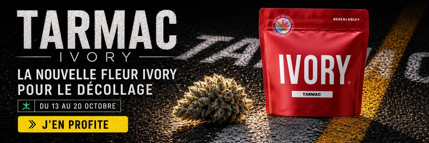 Lancement nouvelle Fleur Tarmac — Offre de lancement -20 %