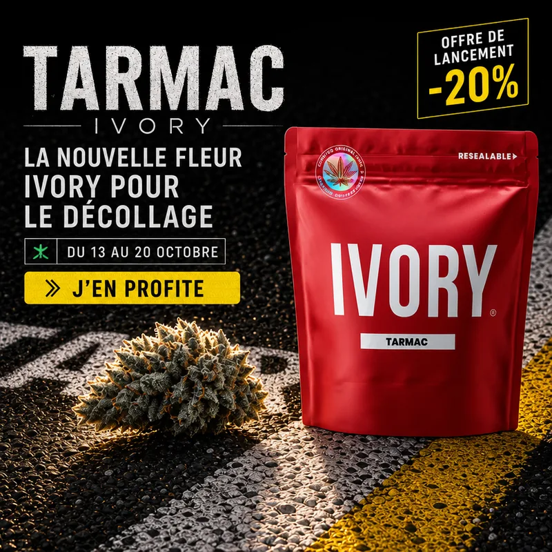 Lancement nouvelle Fleur Tarmac — Offre de lancement -20 %