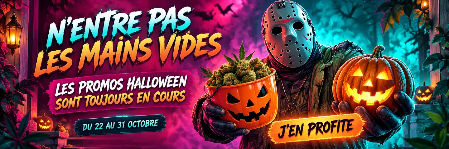 Relance promo Halloween — 1+1, 2+1 et 3+1 sur tout le site