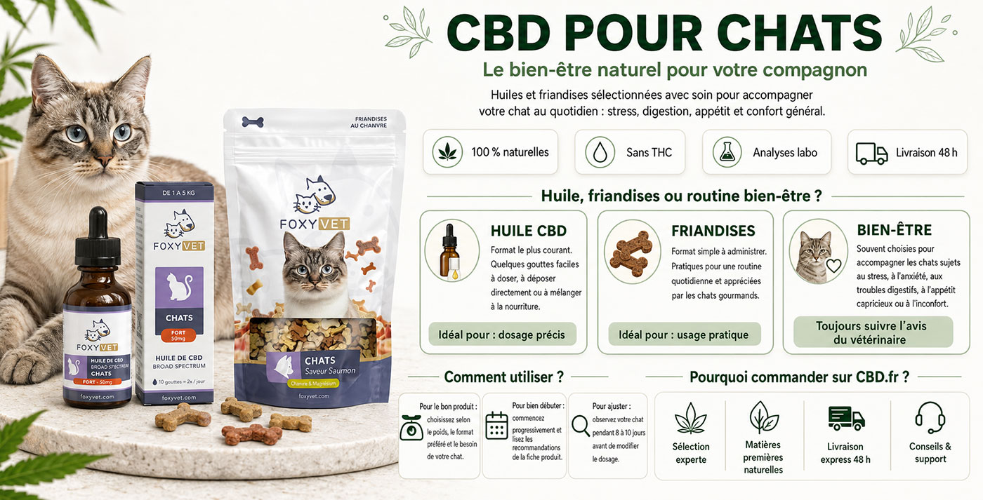 Infographie CBD.fr : le CBD pour chat, huiles, friandises et pastilles au chanvre naturel sans THC