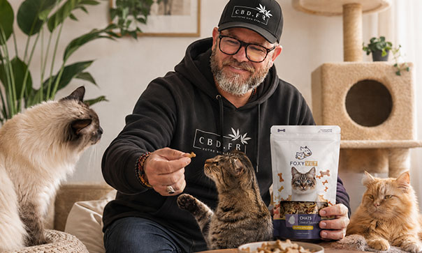 Julien, fondateur de CBD.fr donne du cbd à des chats