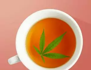 cbd pour les animaux - cbd pour chien - cbd pour chat