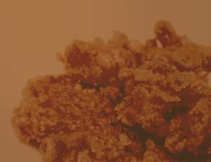 concentré cbd