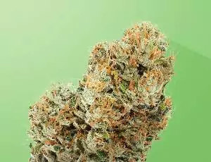 fleurs de cbd