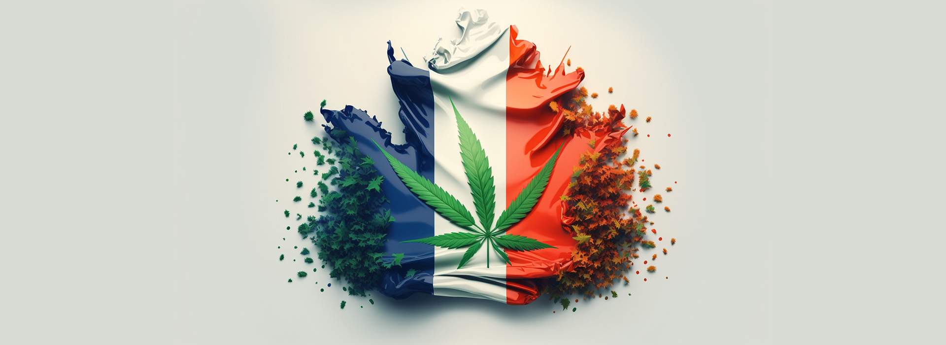 légalisation du cannabis THC