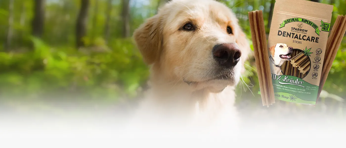 Friandises CBD pour chien
