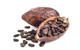 cacao cbd chanvre cbd.fr