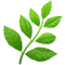 herbe-chanvre-CBD-cannabidiol-cbd-fr