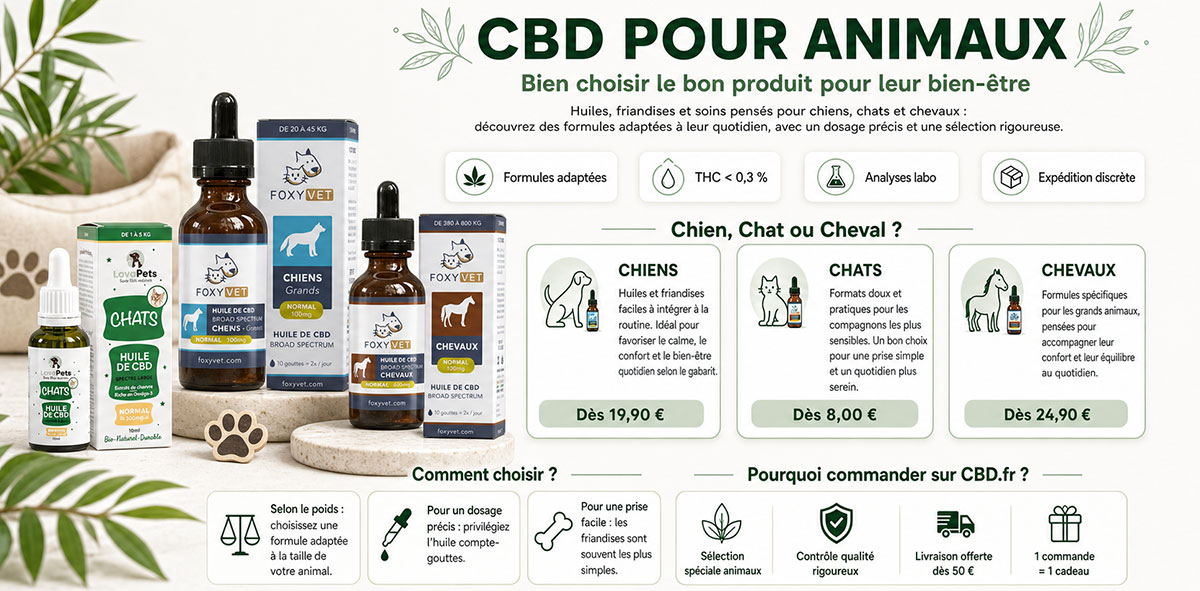 inforgraphie explicative sur le CBD pour animaux