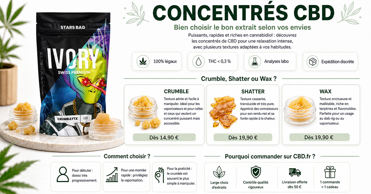Infographie explicative sur les concentrés de CBD