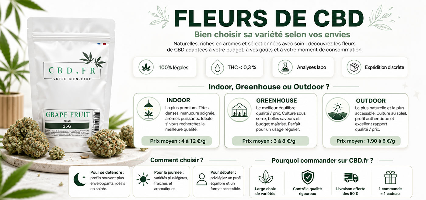 Infographie explicative sur les fleur de CBD