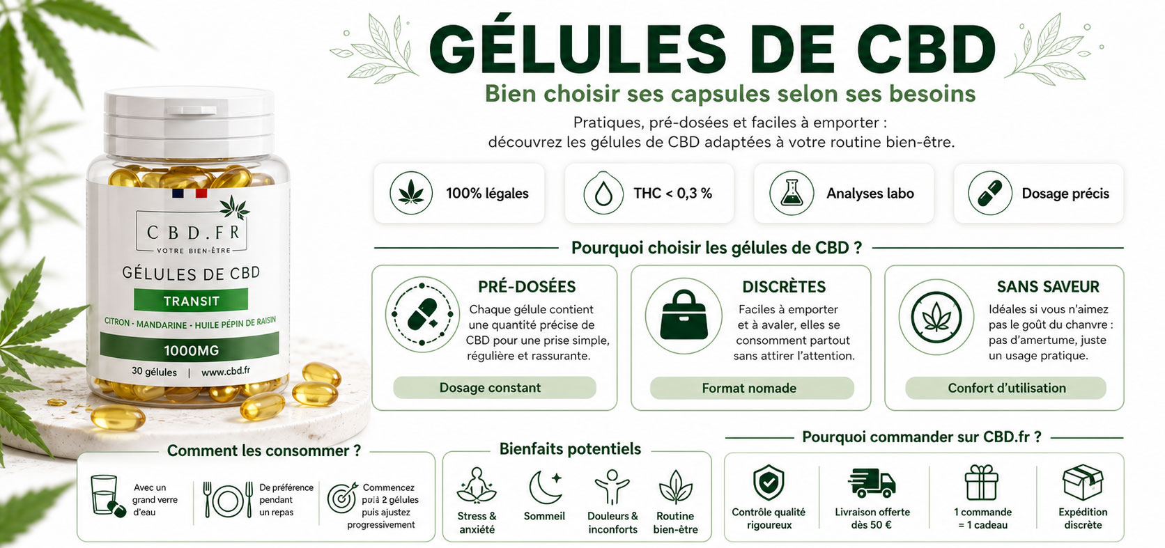 Infographie explicative sur les gélules de CBD