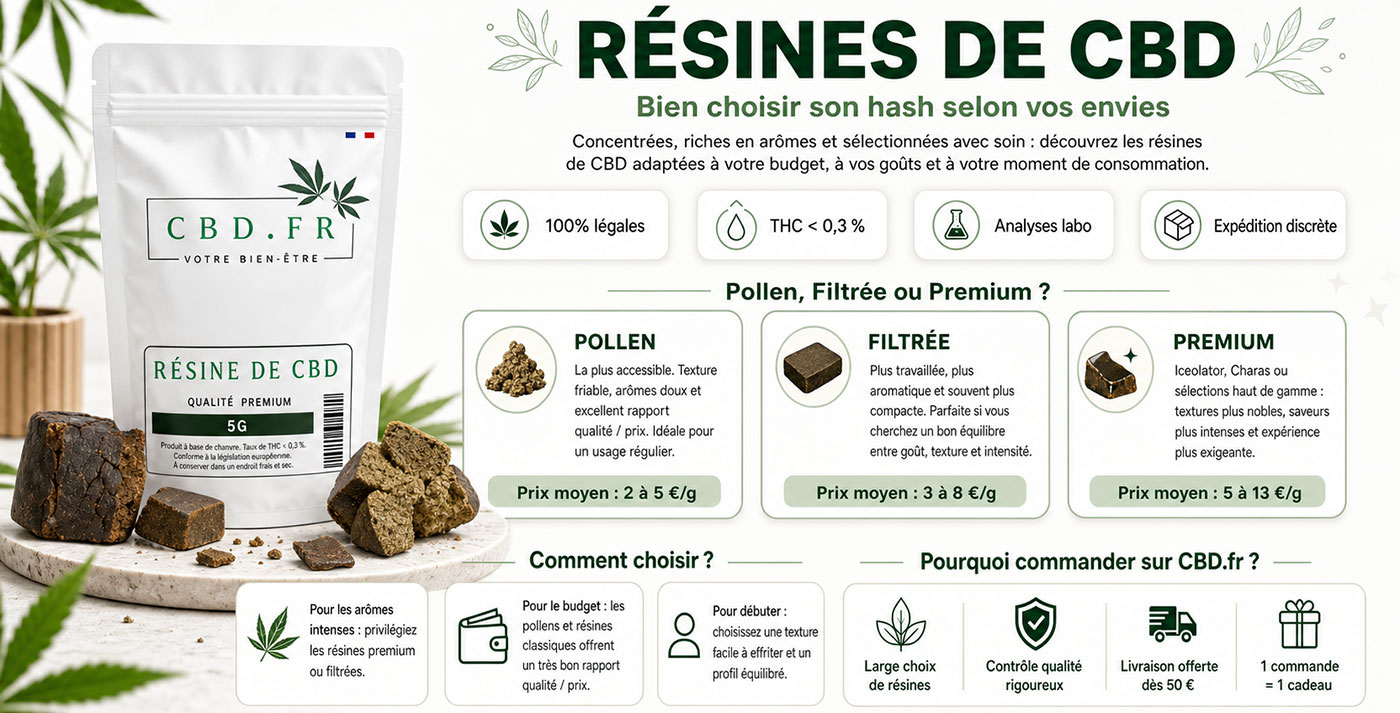 Infographie explicative sur la résine de CBD