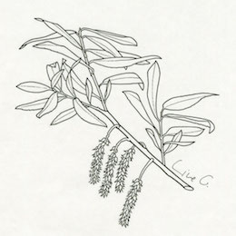 mceu_62602933411614512666855.jpg