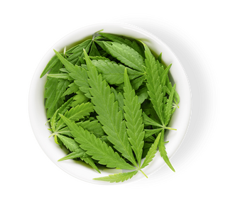 rsz_1cannaflavines-chanvre-cannabis-cannabidiol-sativa-cbd-cbdfr.png?1642169995205
