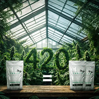 pub calendrier de l'avent CBD.fr