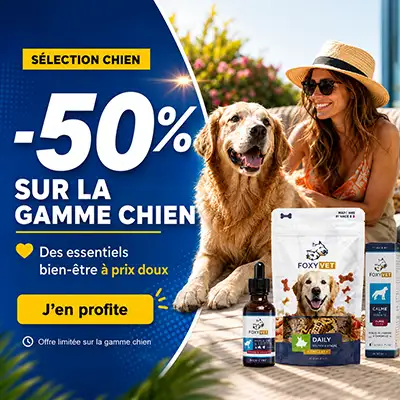 pub calendrier de l'avent CBD.fr