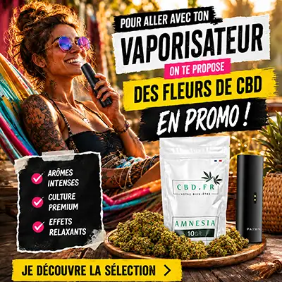 pub calendrier de l'avent CBD.fr