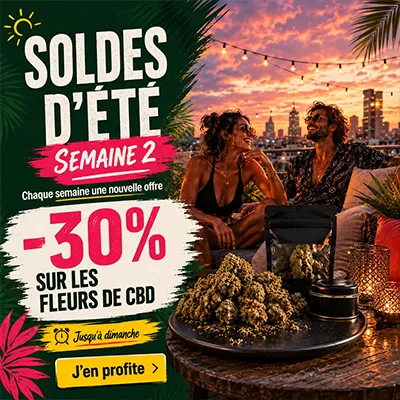 pub calendrier de l'avent CBD.fr